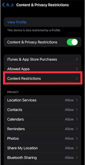 select Content Restrictions.